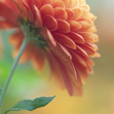 万博·ManBetX手机下载手机版