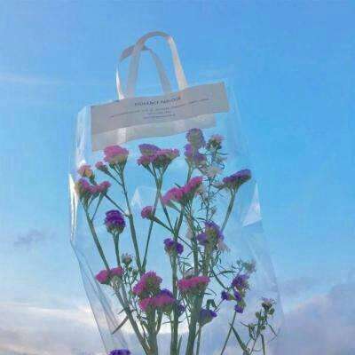 KOKapp下载手机版