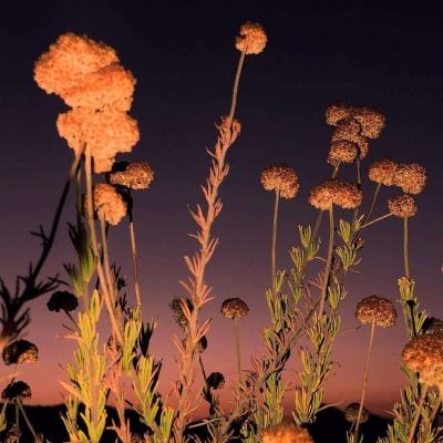 AG大厅网址app下载